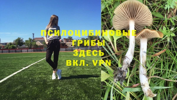дмт Семилуки