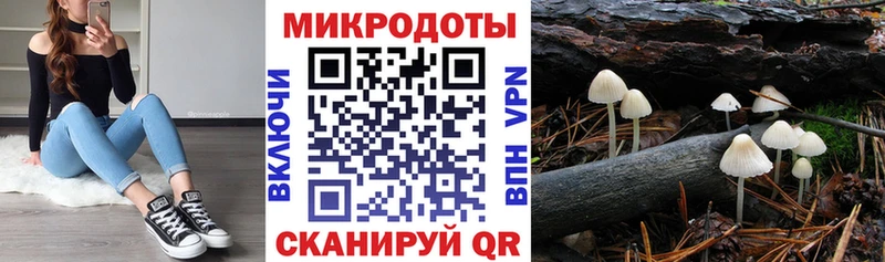 Купить  Ульяновск  Псилоцибиновые грибы мухоморы 